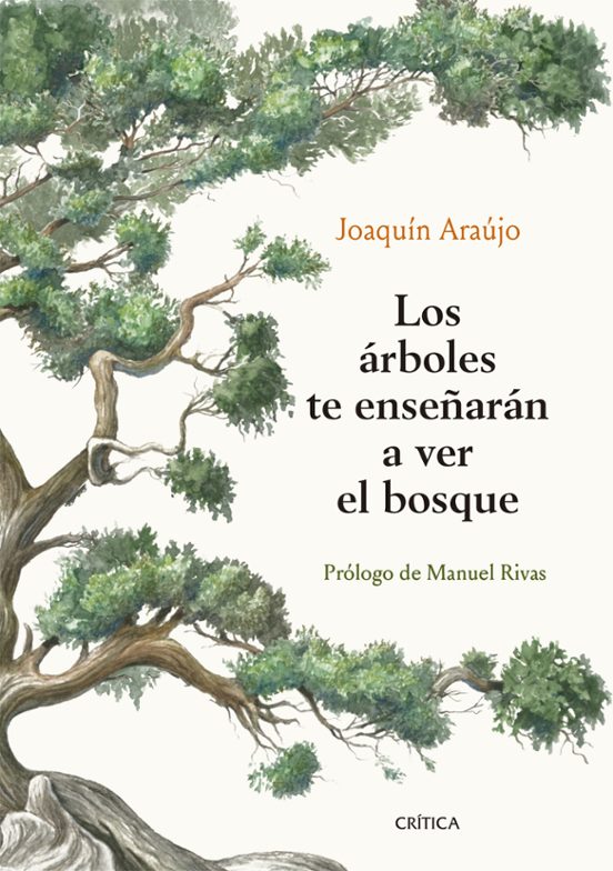 Los Árboles Te Enseñarán A Ver El Bosque