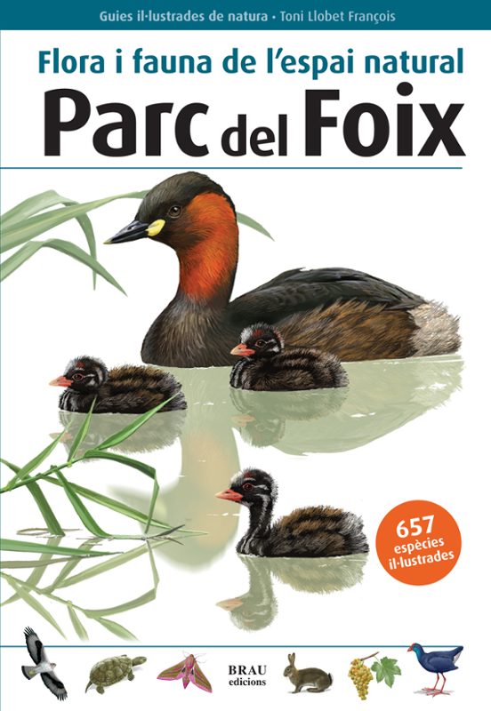 Parc Del Foix. Flora I Fauna De L Espai Natural