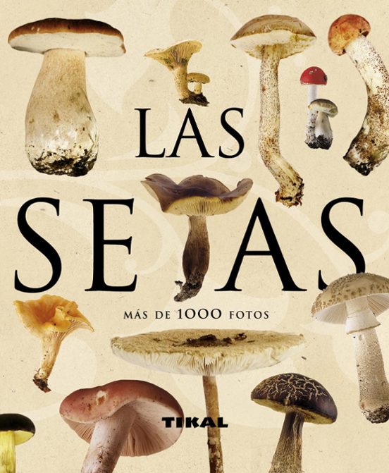 Las Setas