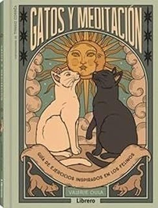 Gatos Y Meditacion