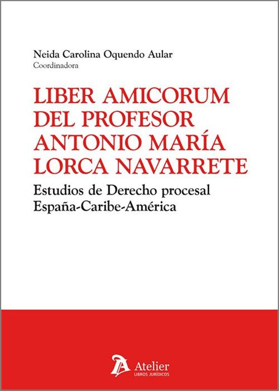 Liber Amicorum Del Profesor Antonio María Lorca Navarrete