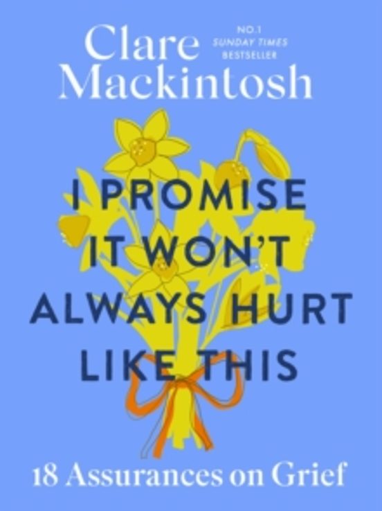 I Promise It Wont Always Hurt Like This