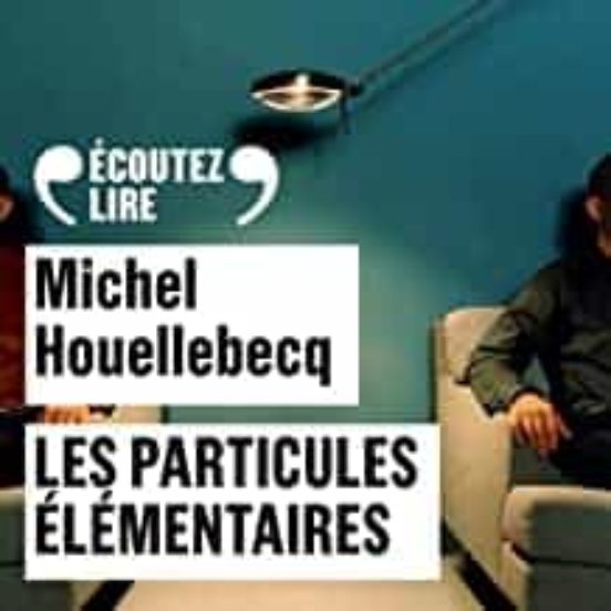Les Particules Élémentaires