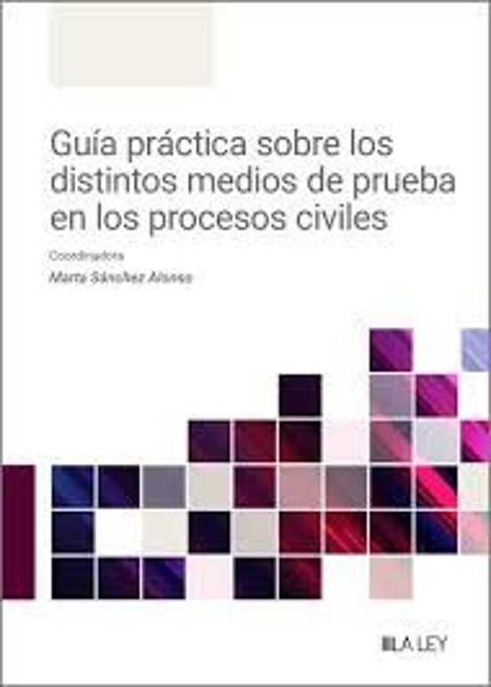 Guía Práctica Sobre Los Distintos Medios De Prueba En Los Procesos Civiles