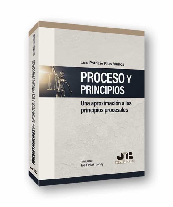 Proceso Y Principios