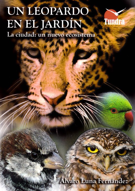 Un Leopardo En El Jardin: La Ciudad: Un Nuevo Ecosistema