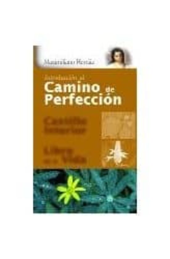 Introducción Al Camino De Perfección