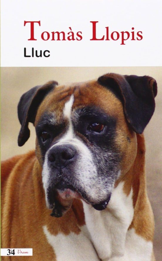 Lluc