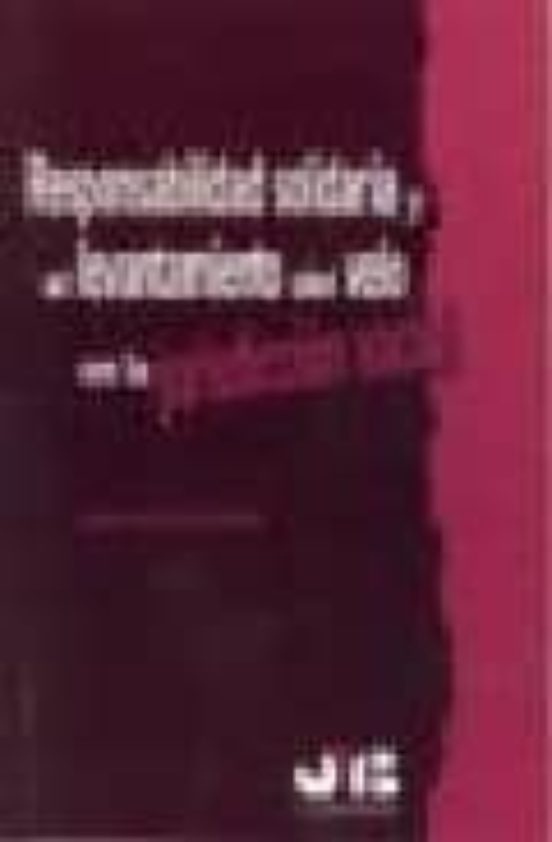 Responsabilidad Solidaria Y El Levantamiento Del Velo En La Jurisdicción Social