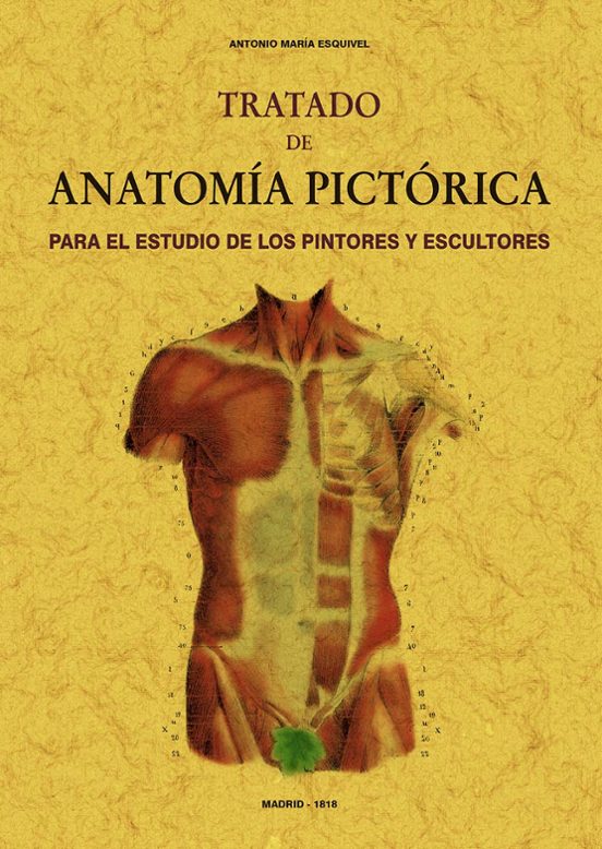 Tratado De Anatomía Pictórica