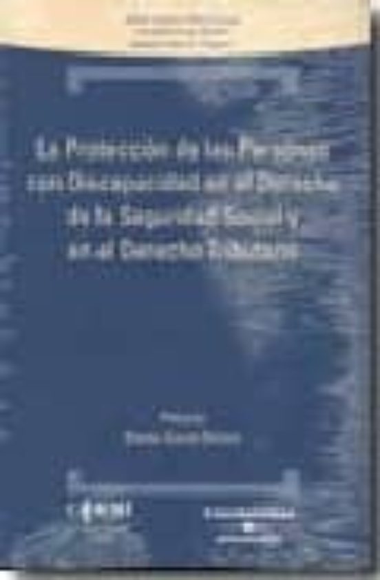 La Proteccion De Las Personas Con Discapacidad En El Derecho De L A Se