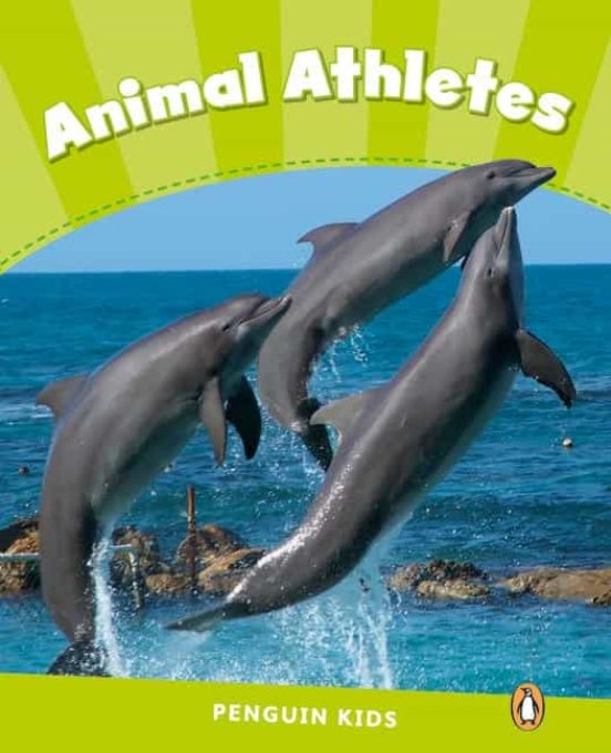 Penguin Kids 4 Animal Athletes Reader Clil