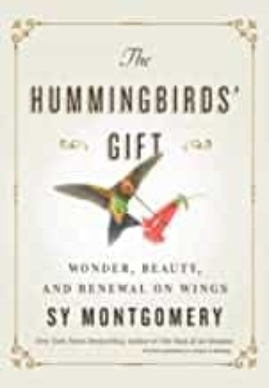 The Hummingbirds Gift : Wonder Beauty And Renewal On Wings