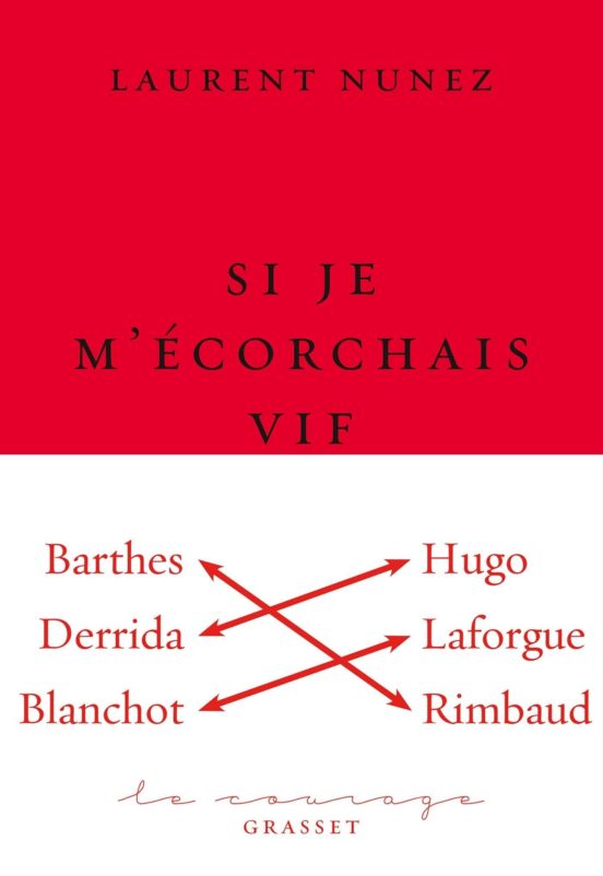 Si Je M Ecorchais Vif : Essai