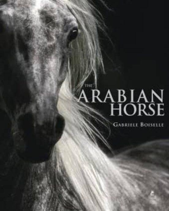 Das Arabische Vollblut