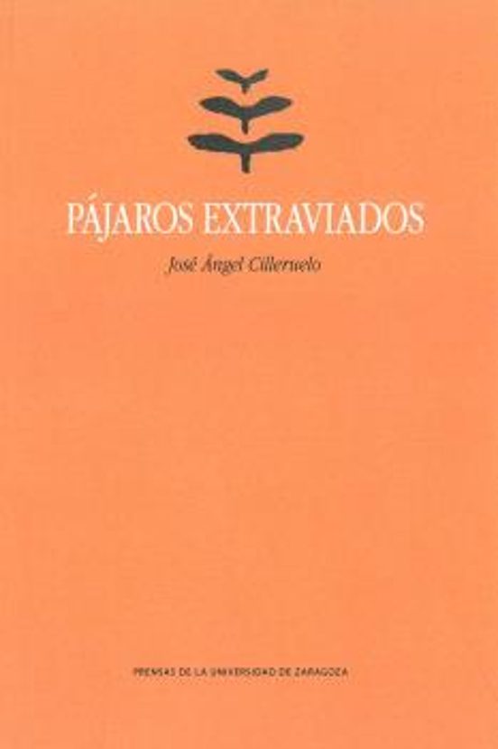 Pájaros Extraviados