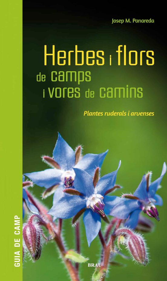Herbes I Flors De Camps I Vores De Camins: Plantes Ruderals I Arvenses