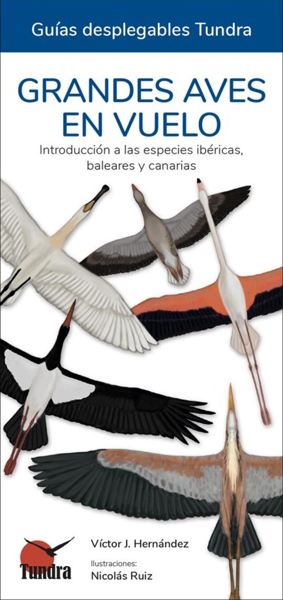 Grandes Aves En Vuelo - Guias Desplegables Tundra