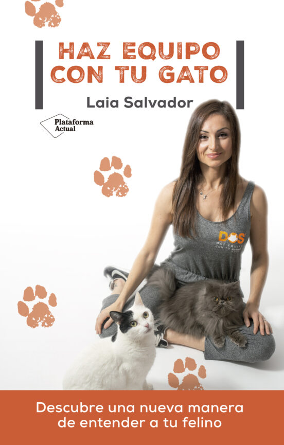 Haz Equipo Con Tu Gato
