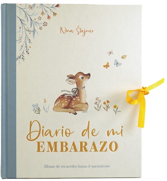 Diario De Mi Embarazo