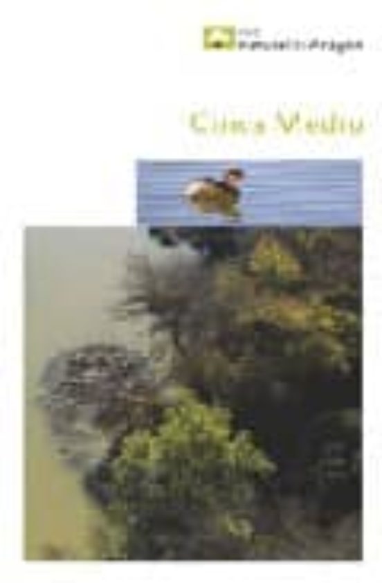Cinca Medio
