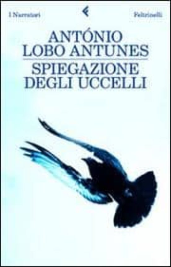 Spiegazione Degli Uccelli