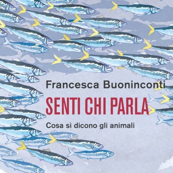 Senti Chi Parla