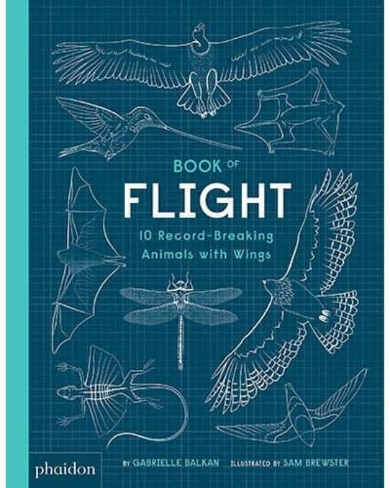 Book Of Flight 10 Record-breaking Animals Wings