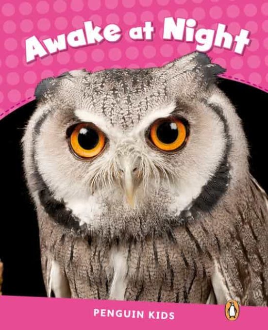 Penguin Kids 2 Awake At Night Reader Clil