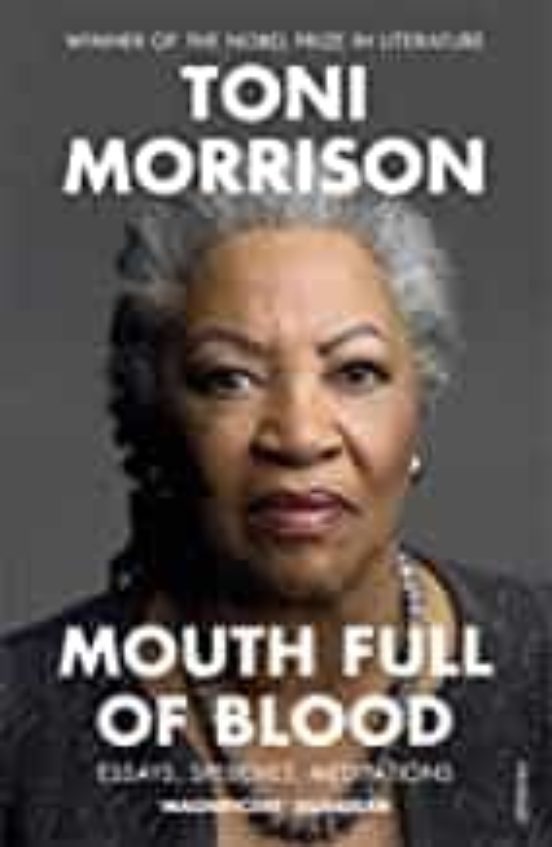 Mouth Full Of Blood: Essays Speeches Meditations