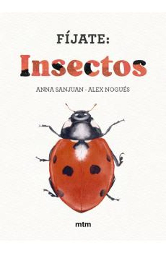 Fíjate: Insectos