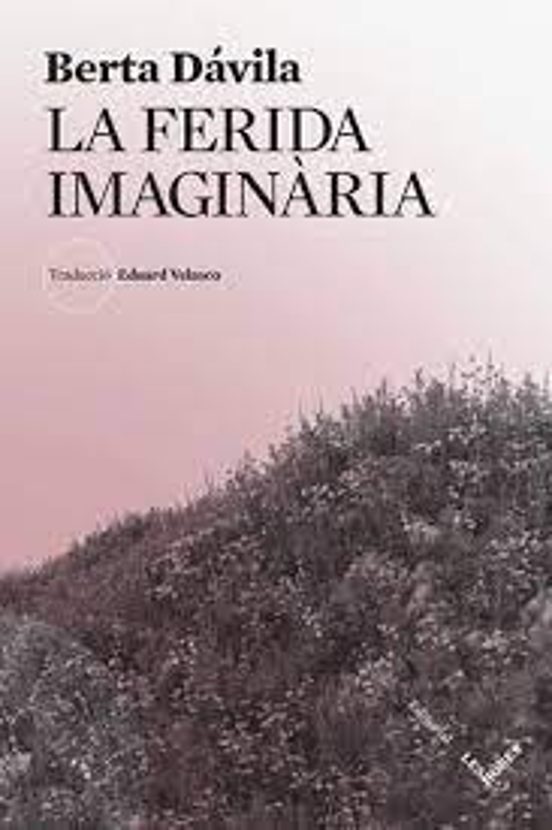 La Ferida Imaginària
