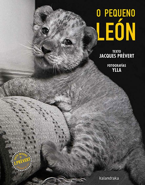 O Pequeno León