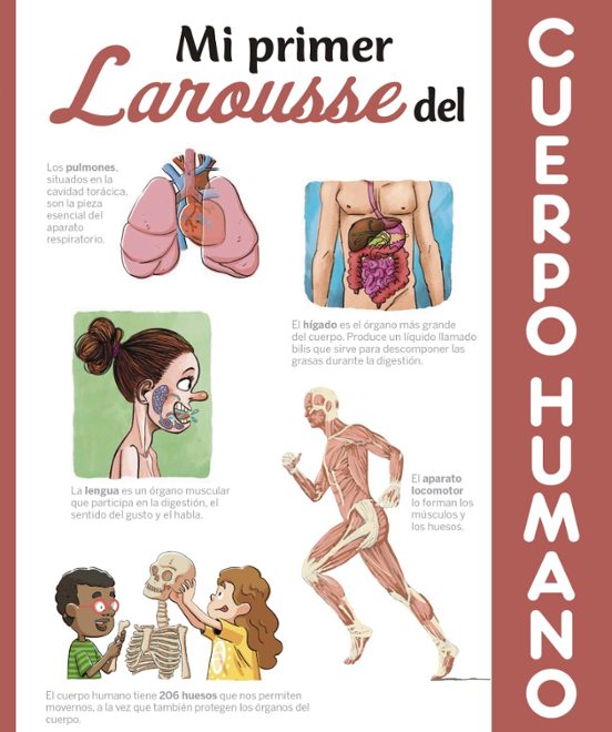 Mi Primer Larousse Del Cuerpo Humano