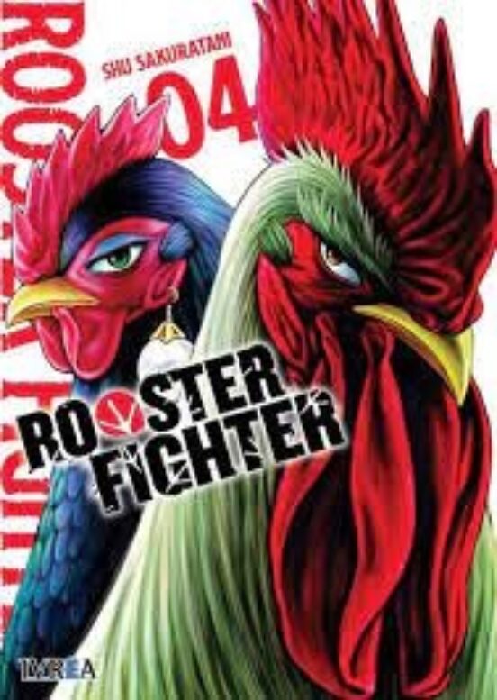 Rooster Fighter 4