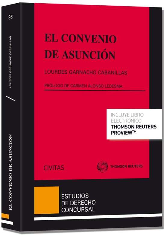 El Convenio De Asuncion