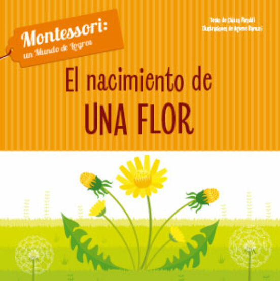 Mundo De Logros :nacimiento De Una Flor
