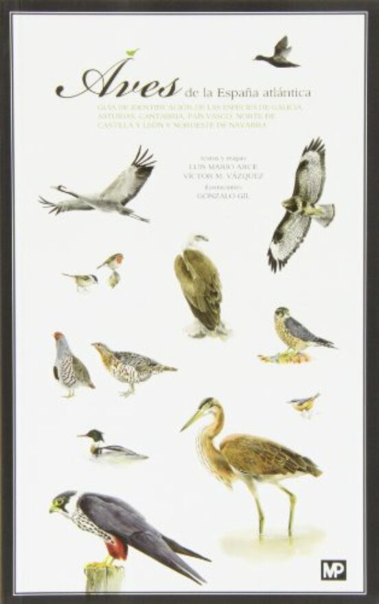 Aves De La España Atlántica