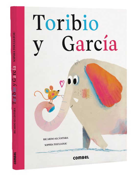 Toribio Y García