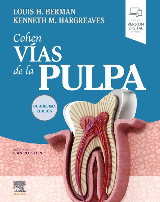 Cohen. Vías De La Pulpa