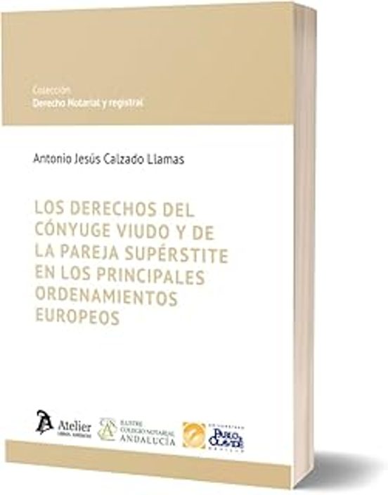 Derechos Del Cónyuge Viudo Y De La Pareja Supérstite En Los Principale