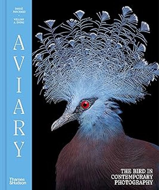 Aviary