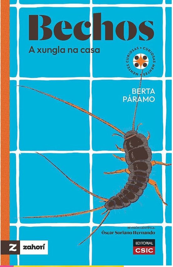 Bechos : A Xungla Na Casa