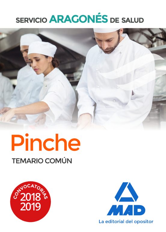 Pinche De Servicio Aragonés De Salud . Temario Común