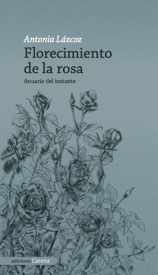 Florecimiento De La Rosa