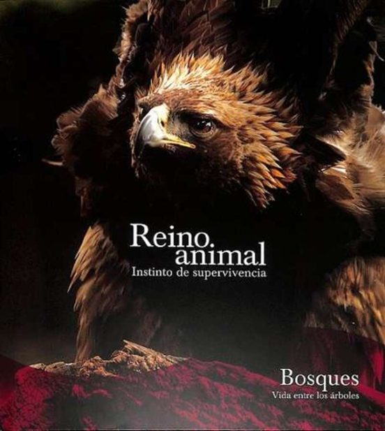 Bosques SE