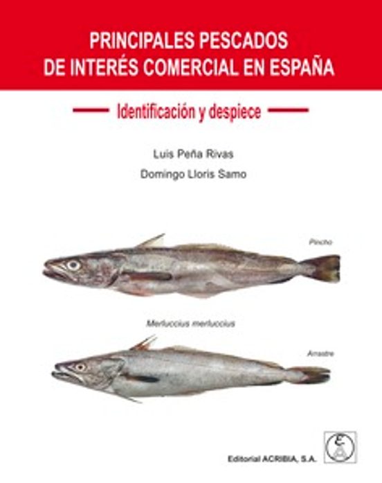 Principales Pescados De Interés Comercial En España