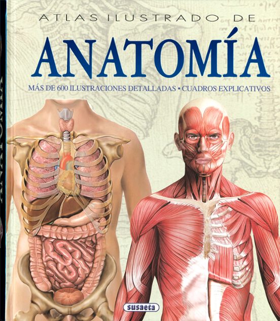 Atlas Ilustrado De Anatomia