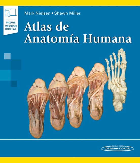 Atlas De Anatomía Humana