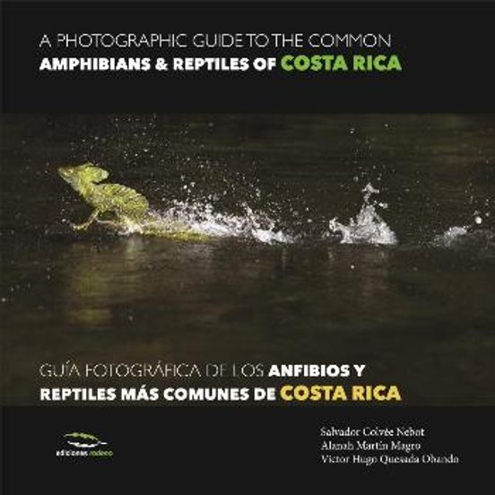 Guia Fotografica Anfibios Y Reptiles Costa Rica